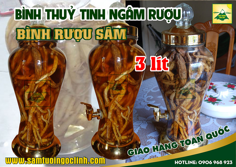 bình thuỷ tinh rượu sâm 3 lít (3)