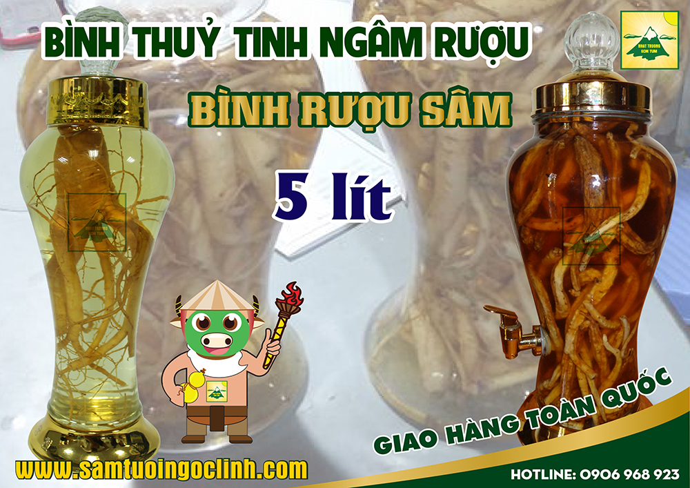 bình thuỷ tinh rượu sâm 5 lít (2)