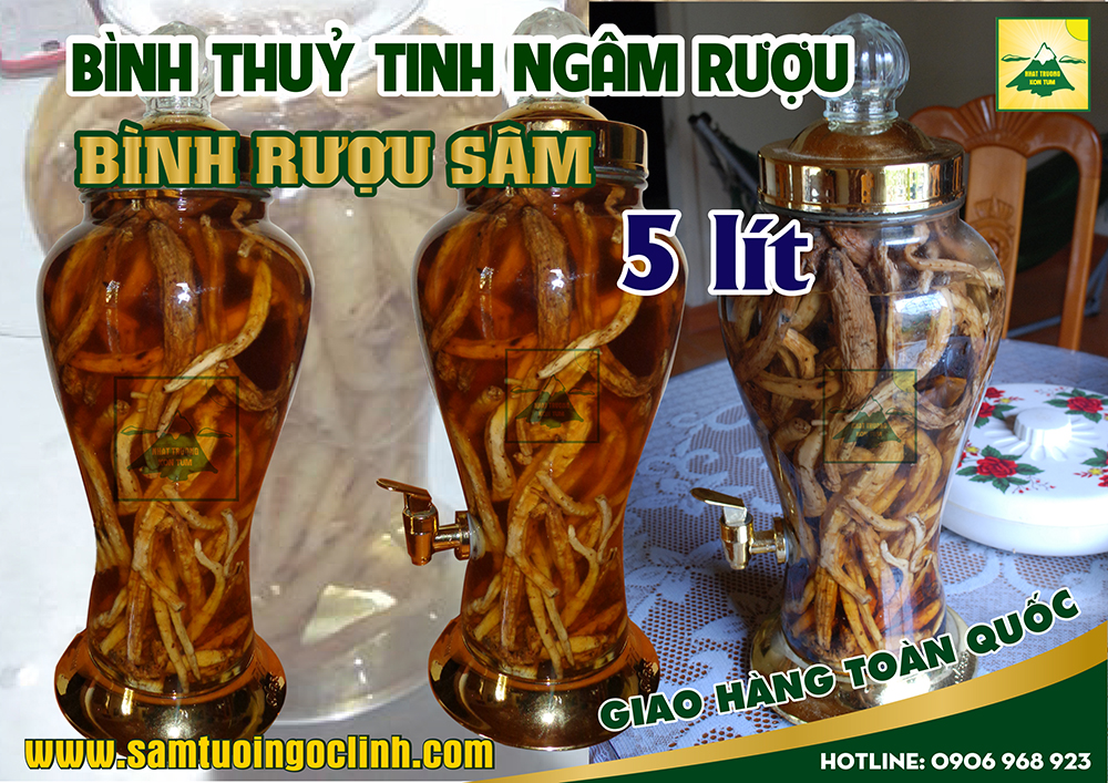 bình thuỷ tinh rượu sâm 5 lít (3)