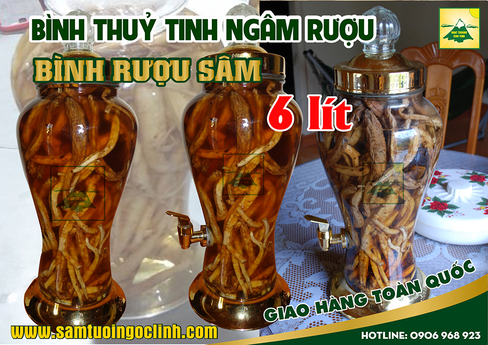 bình thuỷ tinh rượu sâm 6 lít (3)