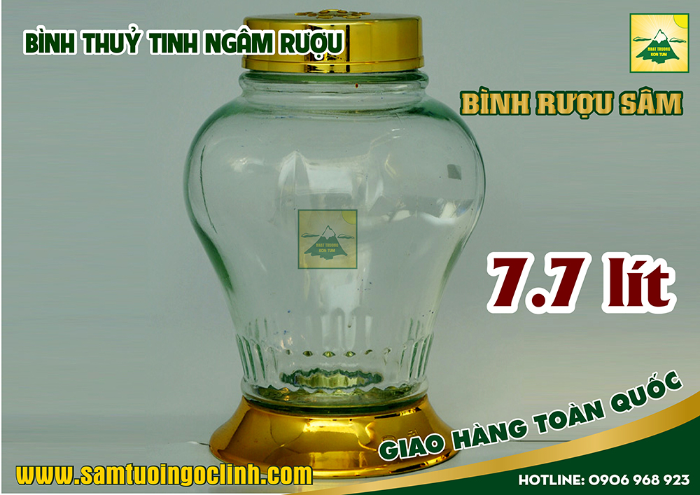 bình thuỷ tinh rượu sâm 7 7 lít (1)