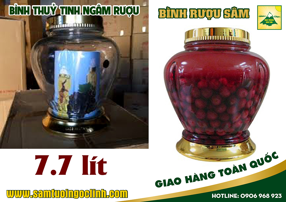 bình thuỷ tinh rượu sâm 7 7 lít (2)