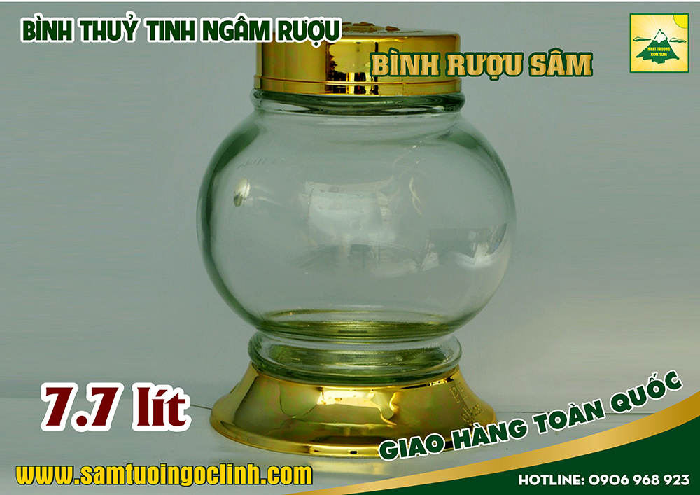 bình thuỷ tinh rượu sâm 7 7 lít (4)