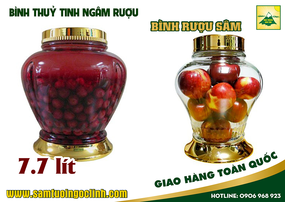 bình thuỷ tinh rượu sâm 7 7 lít (5)