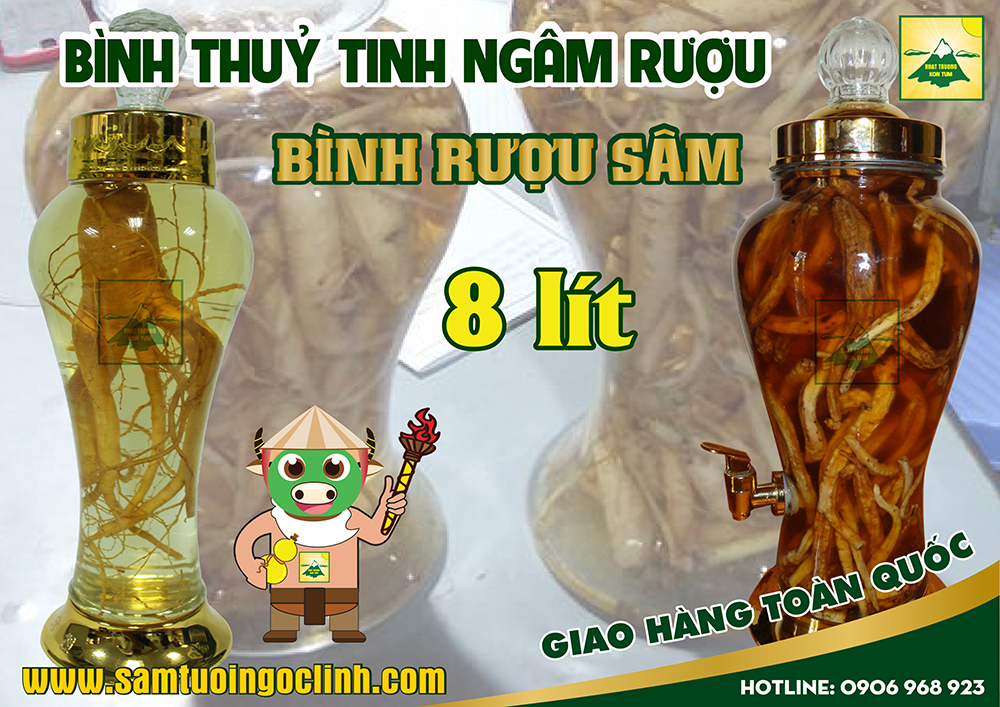 bình thuỷ tinh rượu sâm 8 lít (1)