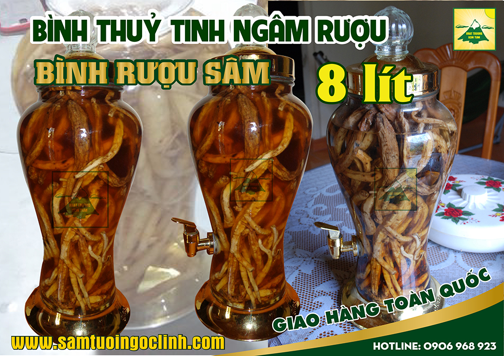 bình thuỷ tinh rượu sâm 8 lít (2)