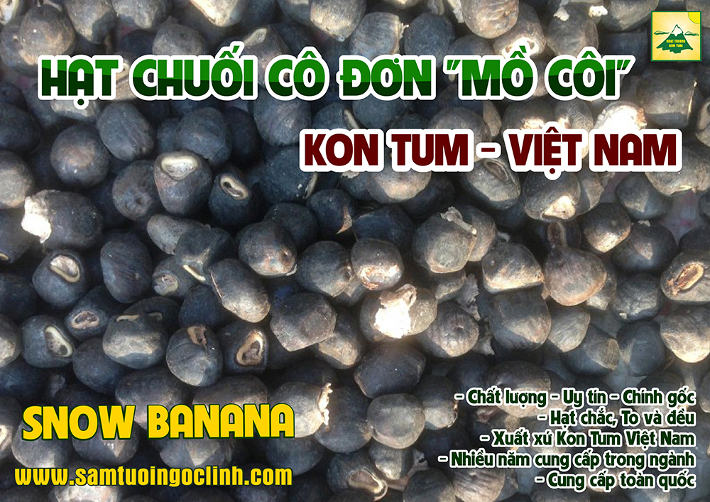 chuối cô đơn mồ côi chuối tuyết (1)