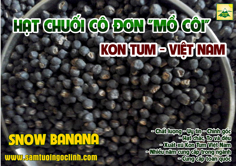 chuối cô đơn mồ côi chuối tuyết (2)