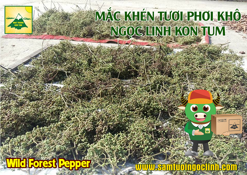 mắc khén ngọc linh kon tum (5)