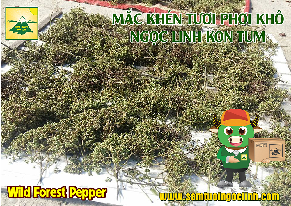 mắc khén ngọc linh kon tum (6)