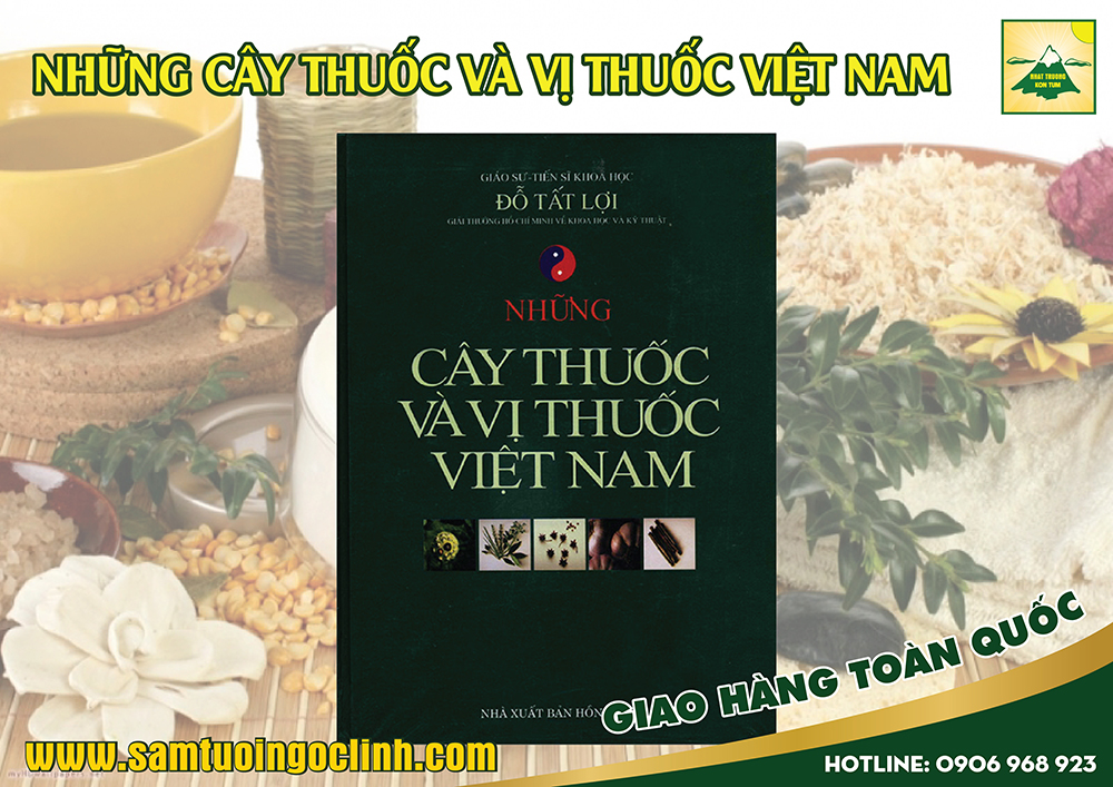 những cây thuốc và vị thuốc việt nam (2)