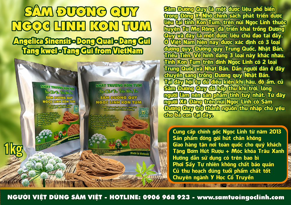 combo sâm dây đương quy ngọc linh nhật trường (3)