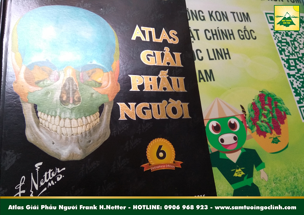 Atlas Giải Phẫu Người Frank H (1)