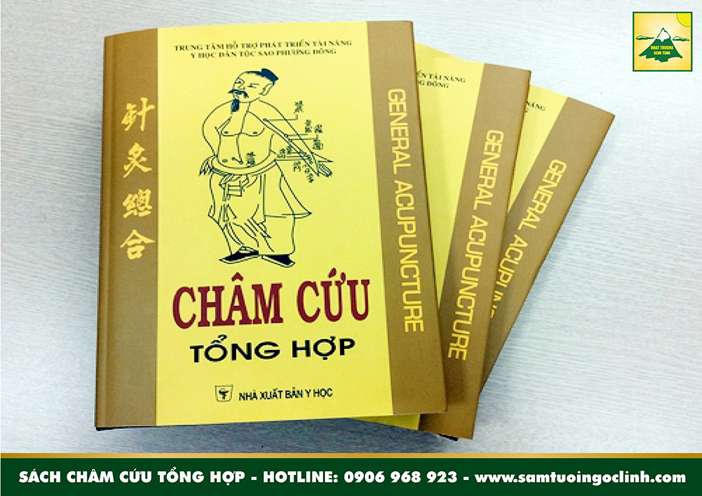 châm cứu tổng hợp (2)