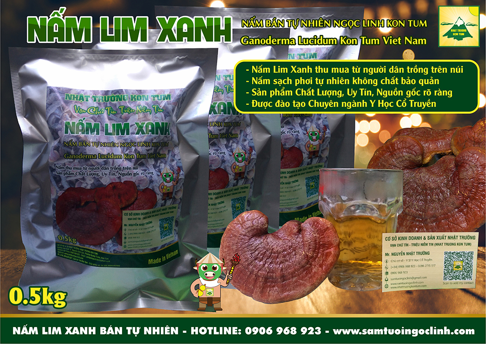 nấm lim xanh bán tự nhiên trồng kon tum nhật trường (3)