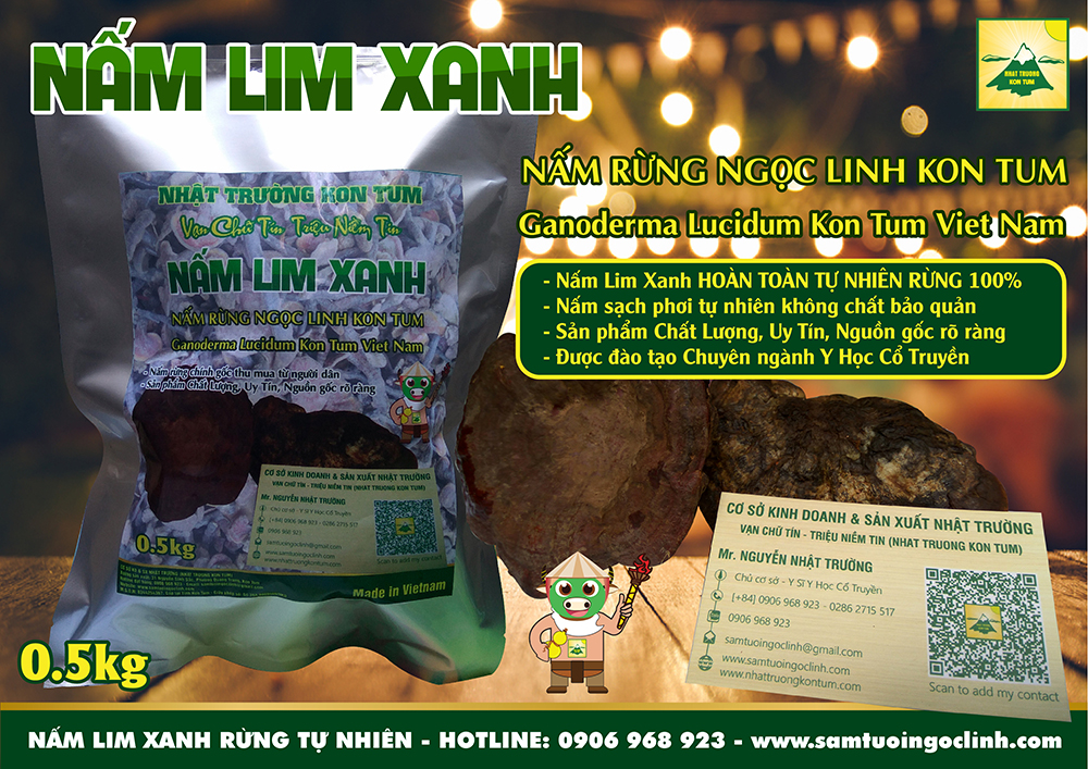 nấm lim xanh rừng tự nhiên kon tum nhật trường (1)