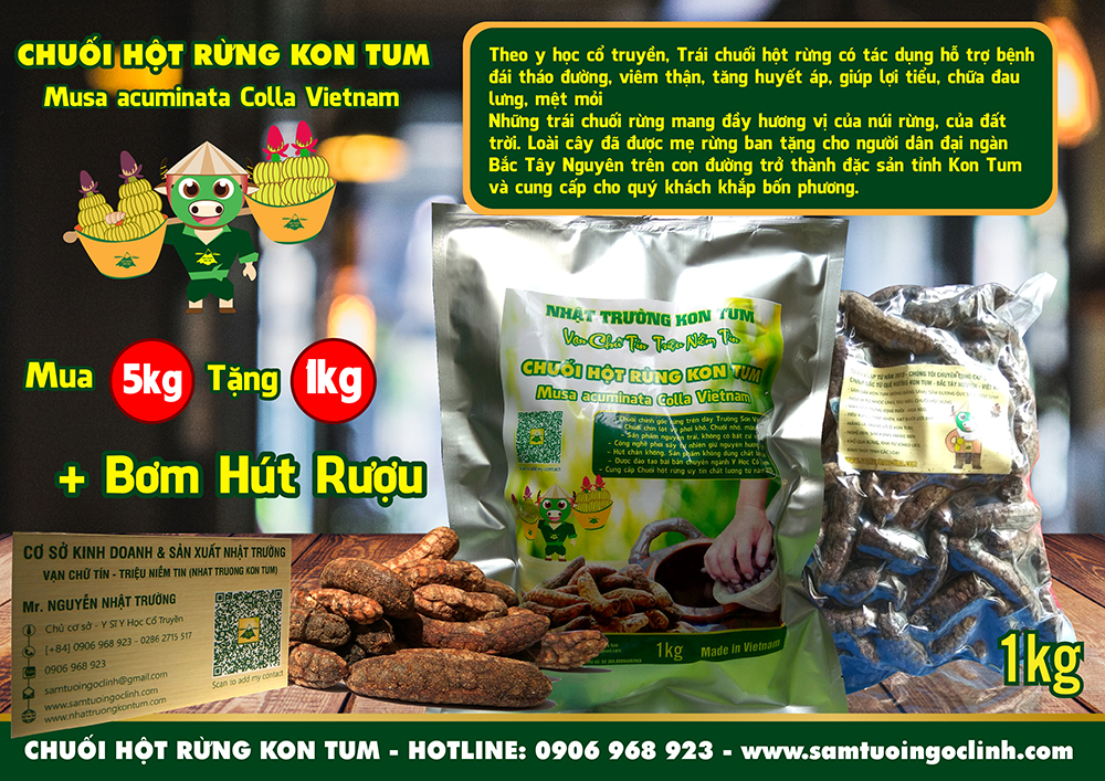 chuối hột rừng kon tum (1)