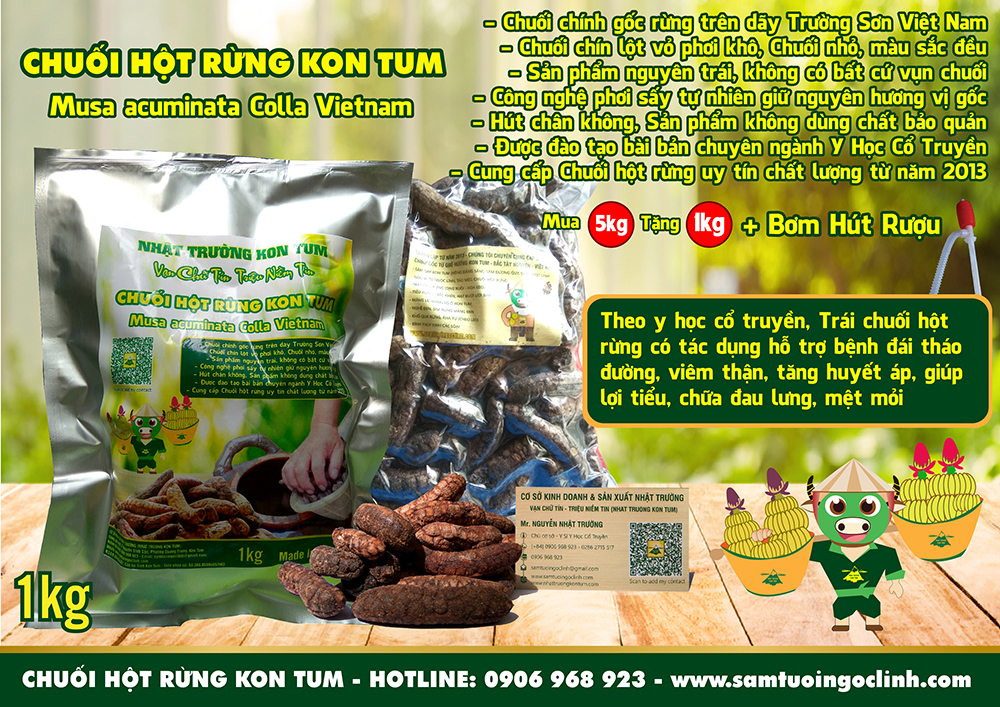 chuối hột rừng kon tum (3)