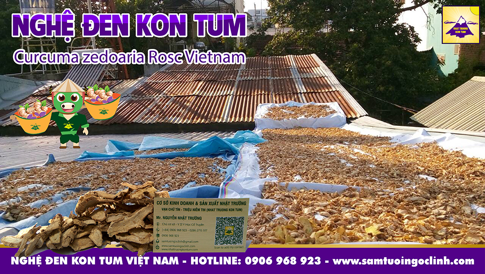 nghệ đen kon tum nhật trường (4)