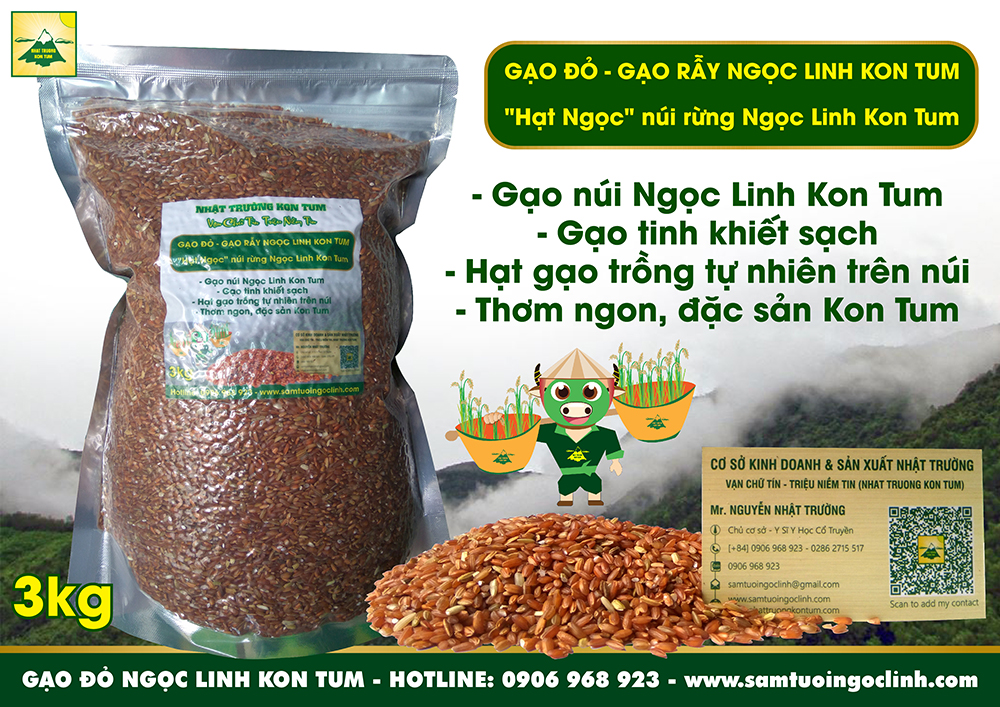 gạo đỏ gạo rẫy ngọc linh kon tum nhật trường bắc tây nguyên (2)