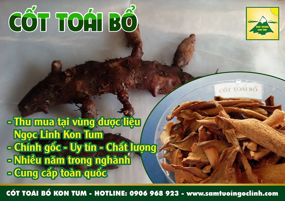 cốt toái bổ ngọc linh kon tum nhật trường (4)