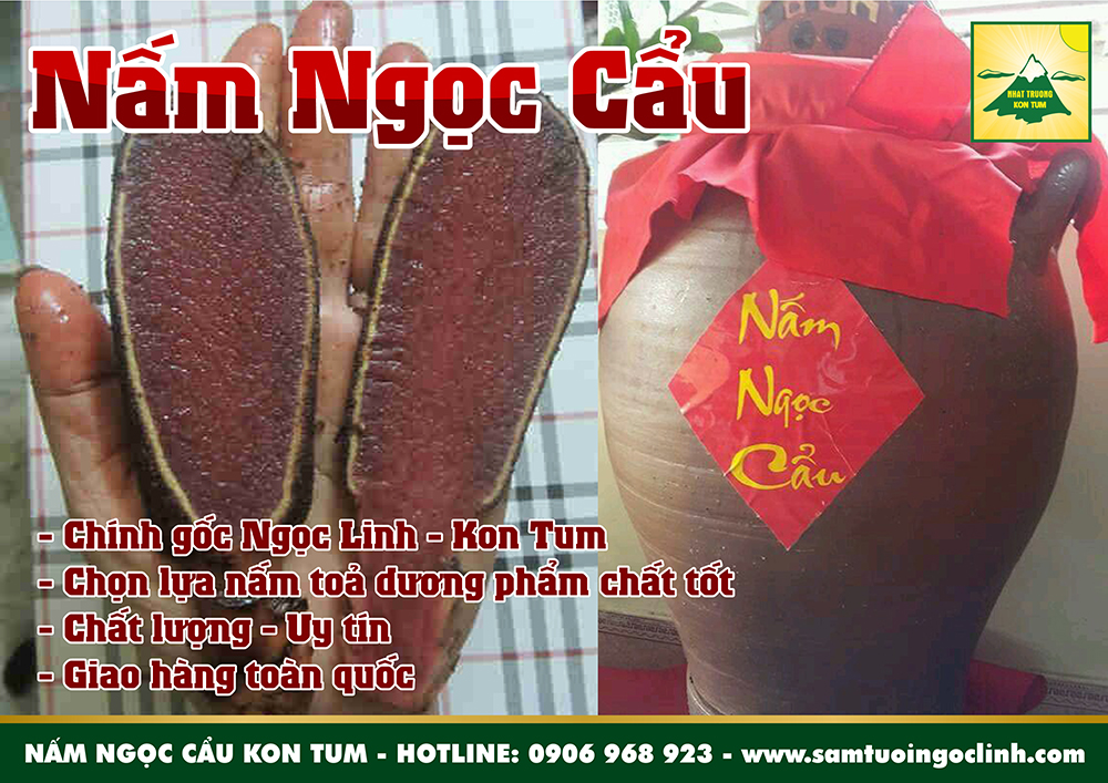 nấm ngọc cẩu ngọc linh kon tum chất lượng (6)