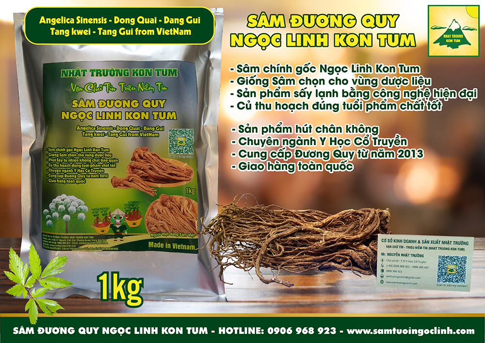 chánh đương quy ngọc linh kon tum nhật trường (2)