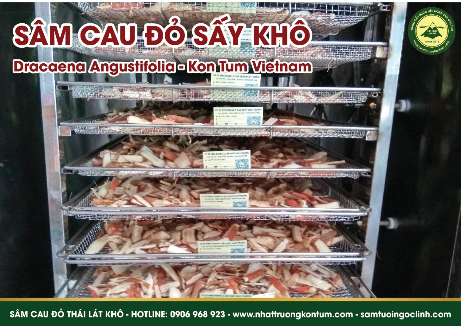 sam cau do kho kon tum nhat truong 02