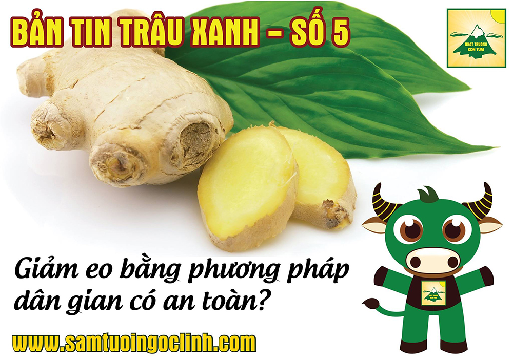 bản tin trâu xanh