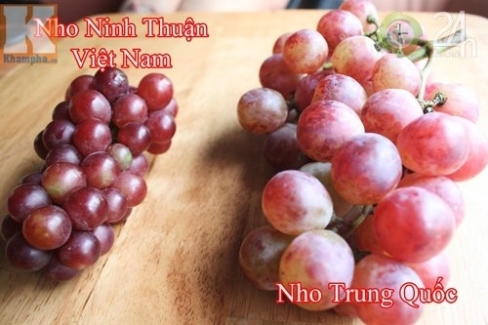 nho đỏ trung quốc