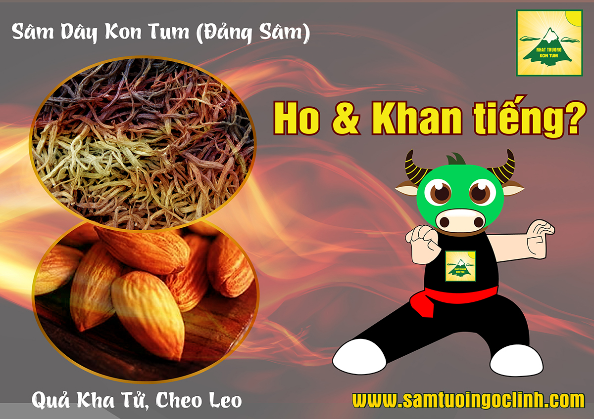 kha tử sâm dây đảng sâm kon tum