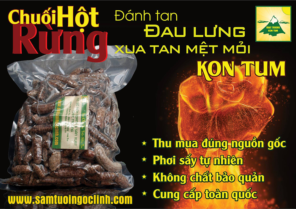 chuối hột rừng 1