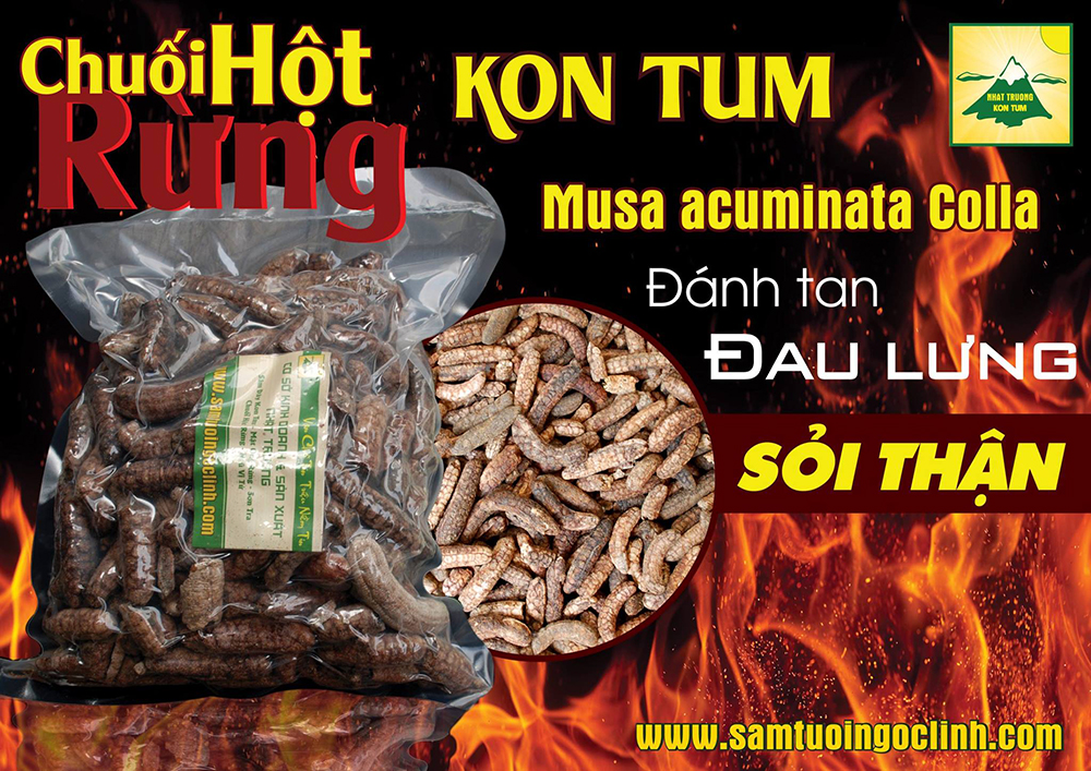 chuối hột rừng