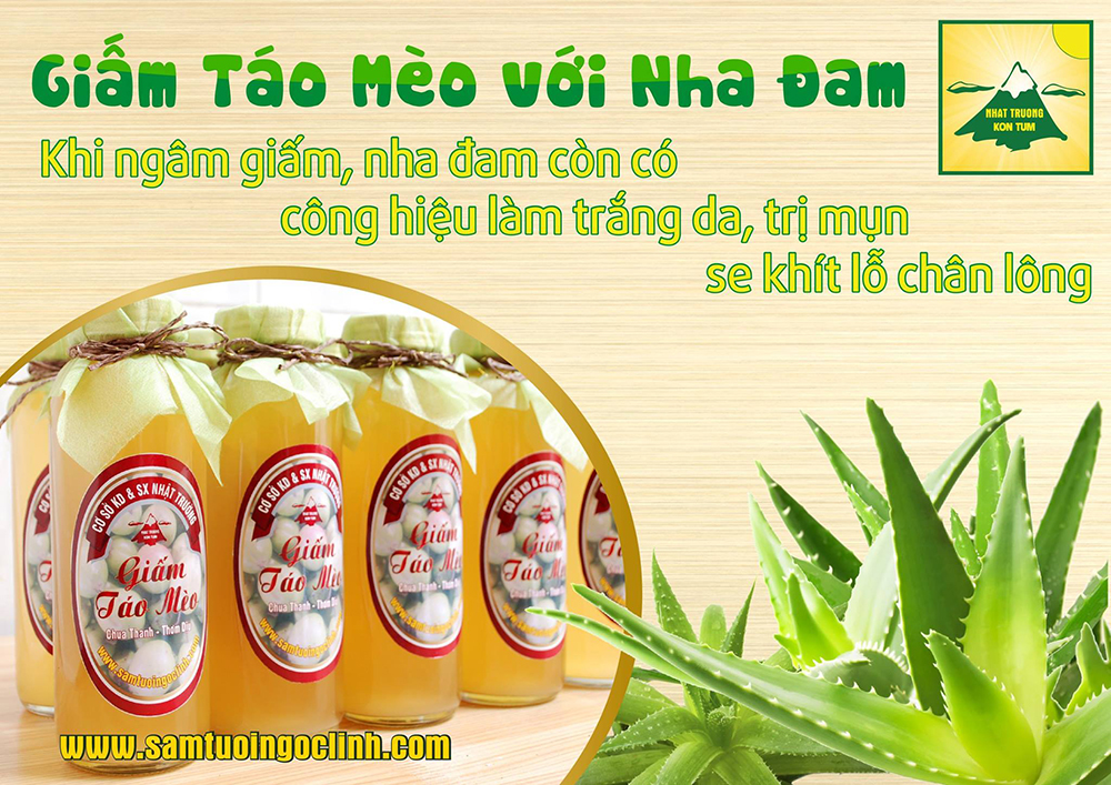 giấm táo mèo nha đam