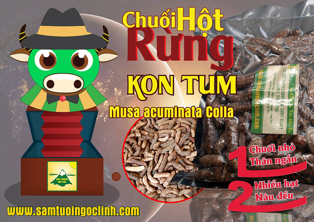 chuối hột rừng