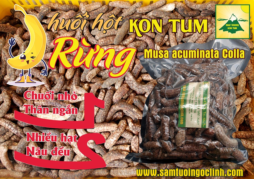 chuối hột rừng