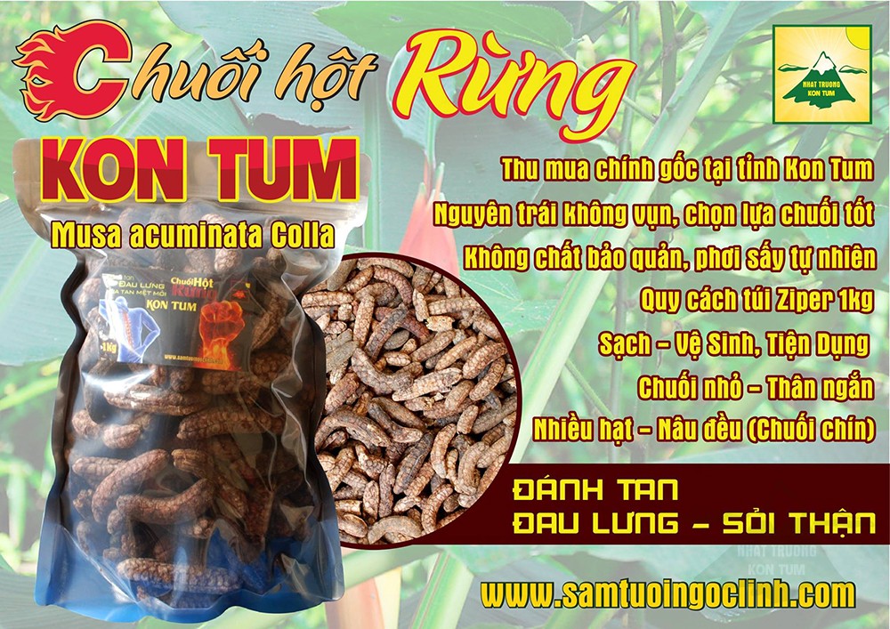 chuối hột rừng 5