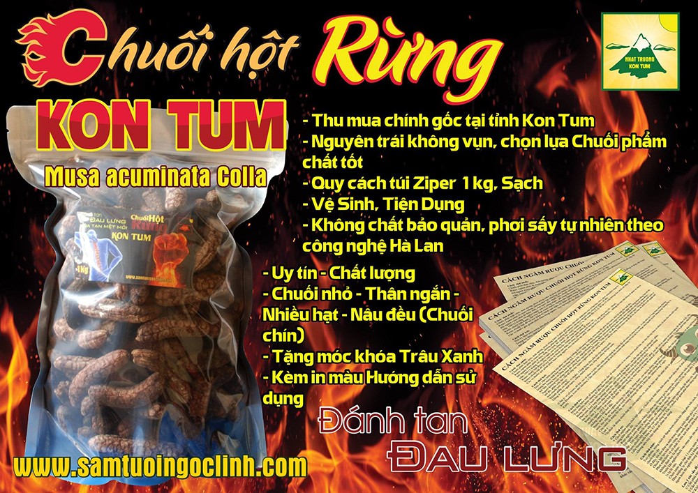 chuối hột rừng