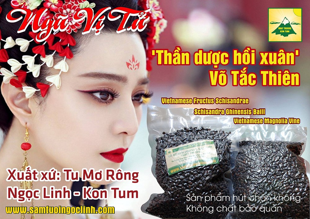 ngũ vị tử vị thuốc hồi xuân