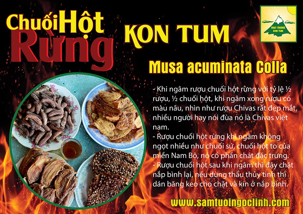 chuối hột rừng (2)