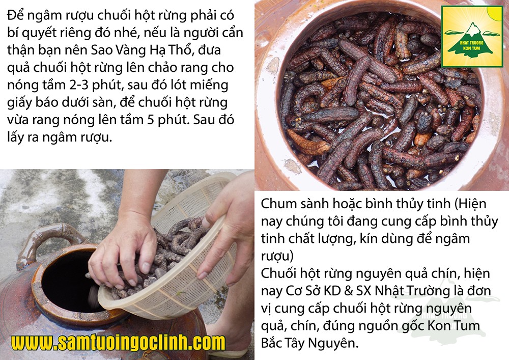 chuối hột rừng (3)