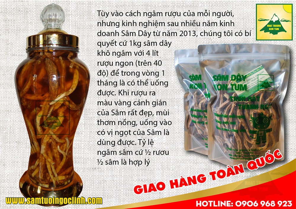 ngâm rượu sâm dây kon tum (3)