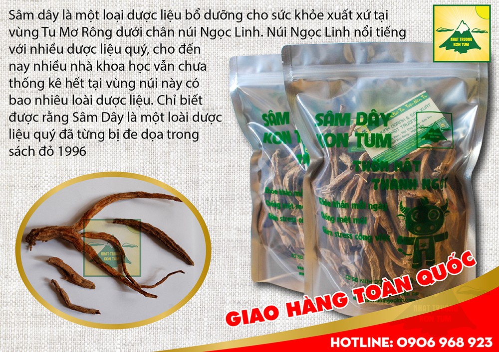 ngâm rượu sâm dây kon tum (4)