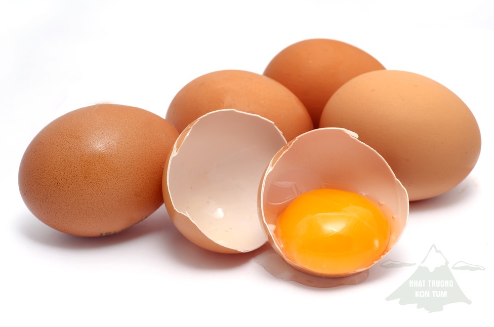 ăn trứng thông minh 1