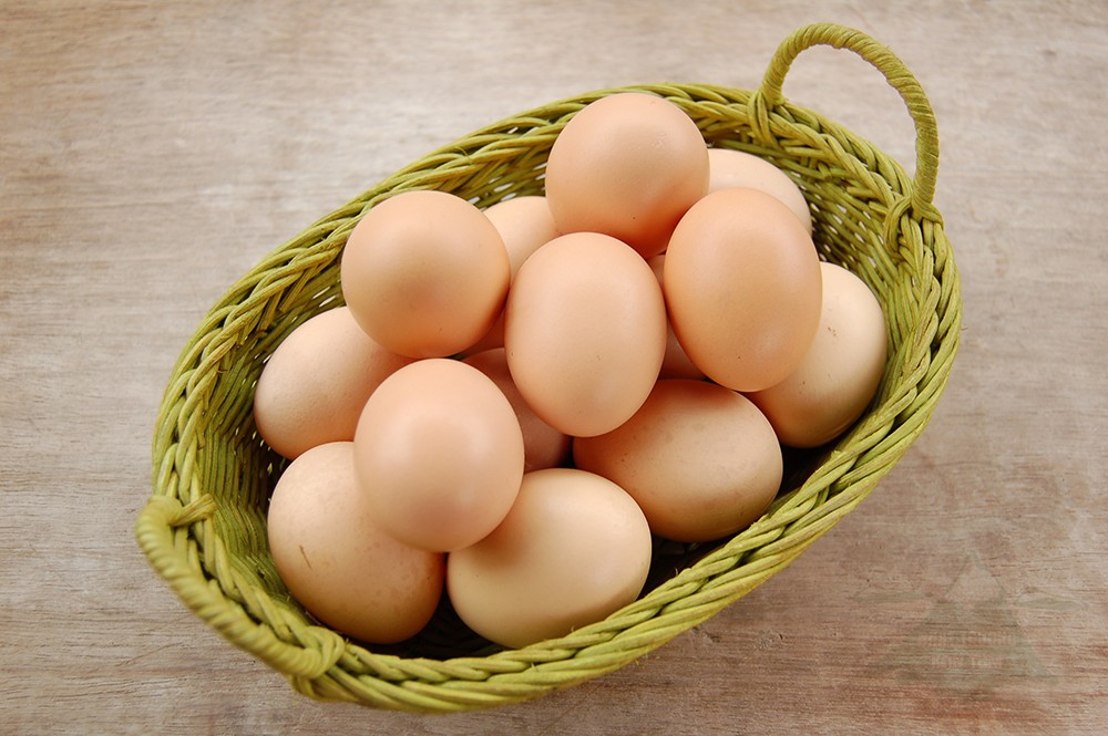 ăn trứng thông minh 3