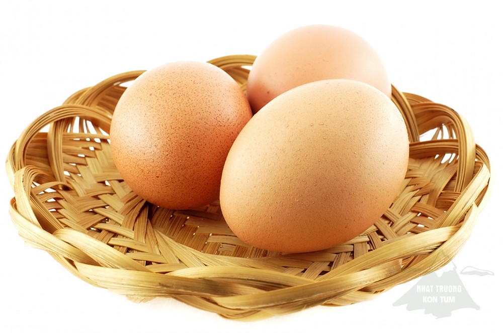 ăn trứng thông minh 4