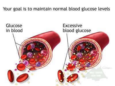 đông y điều trị tiểu đường