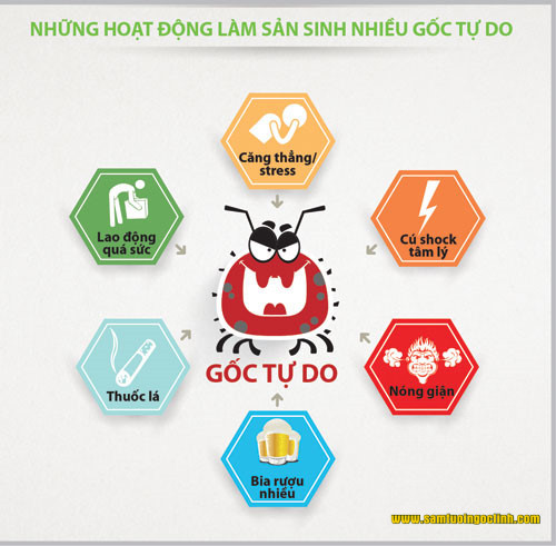 gốc tự do 1