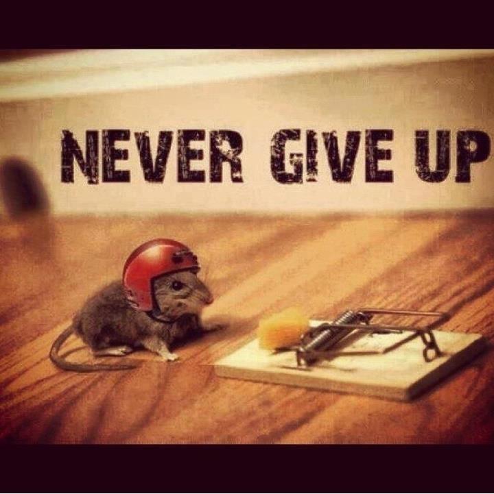 don't give up