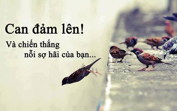 Hãy sống như những gì bạn muốn